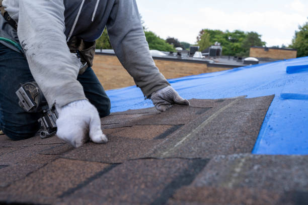 Professional Roofing Contractor in Colfax, WI