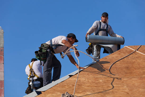 Best Shingle Roofing Installation  in Colfax, WI