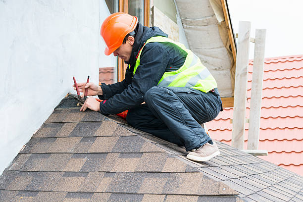 Roof Gutter Cleaning in Colfax, WI