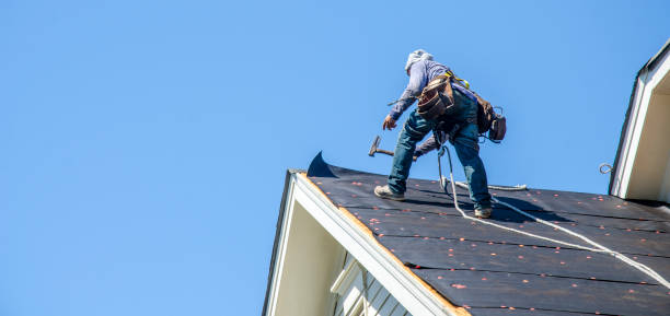 Best New Roof Installation  in Colfax, WI